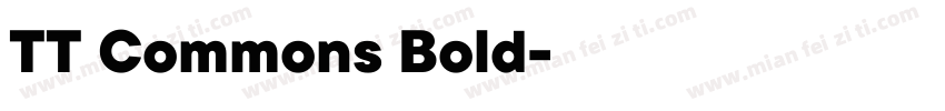TT Commons Bold字体下载字体转换